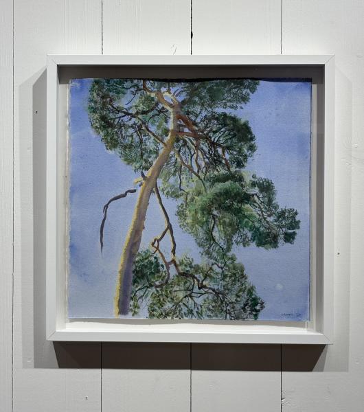 R&eacute;mi Hamoir - Arbre 52/52cm encadr&eacute;