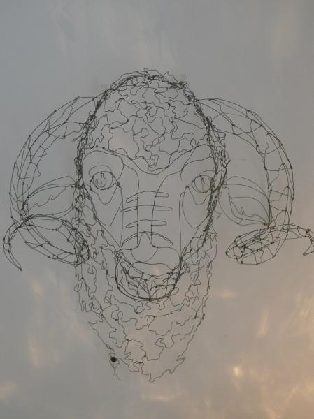 Catherine Gontier - Mérinos