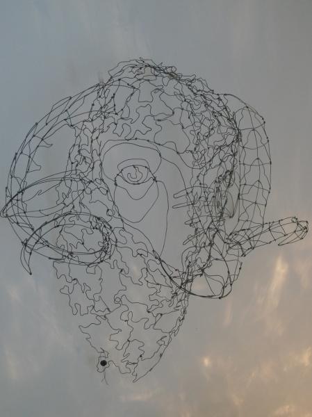Catherine Gontier - Mérinos