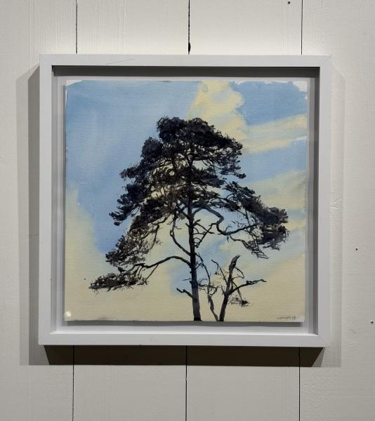 R&eacute;mi Hamoir - arbre Carr&eacute; 42/42cm encadr&eacute;