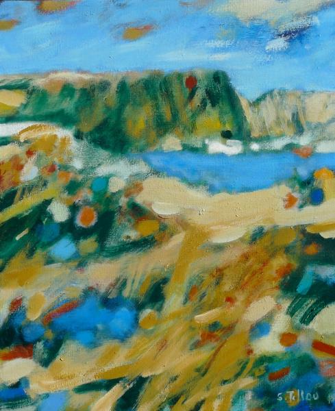 Serge Tillou - La falaise - 6F