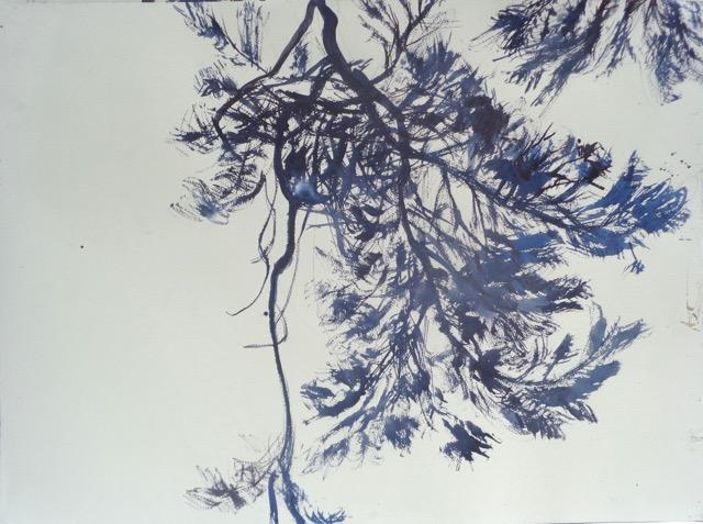 Rémi Hamoir - Diptyque Branche 2/2 - 50/65 cm