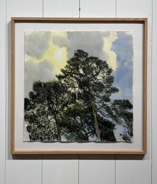 R&eacute;mi Hamoir - Arbre au soleil 62/62cm encadr&eacute;