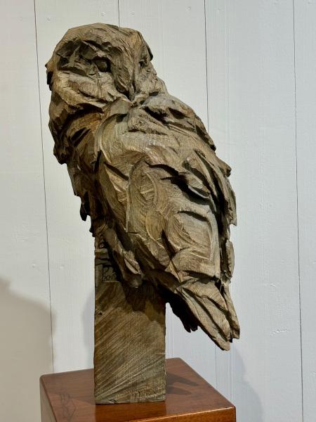 Jürgen  Lingl - Chouette effraie Bronze