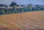 Pierre Lepage - les blés  bretons - HSP - 24/35cm