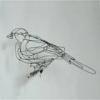 Catherine Gontier - oiseau