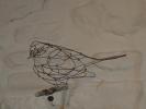 Catherine Gontier - oiseau